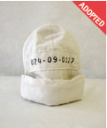 024_dir_adopt