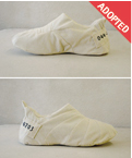 044_dir_adopt