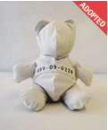 059_dir_adopt