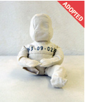063_adopted