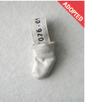 076_dir_adopt